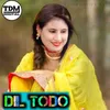 About Dil Todo Song